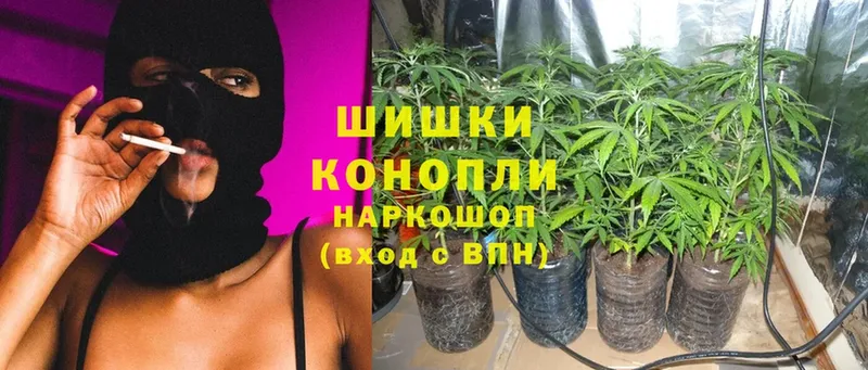 Бошки марихуана White Widow  даркнет телеграм  Артёмовск  блэк спрут как войти 